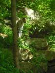 <img0*150:stuff/z/46887/Nehirwen%2520stock%2520-%2520Zoo%2520Animals%25202/Zoo%20152.jpg>