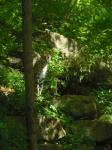 <img0*150:stuff/z/46887/Nehirwen%2520stock%2520-%2520Zoo%2520Animals%25202/Zoo%20153.jpg>