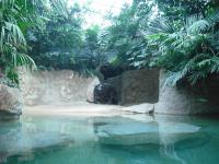 <img0*150:stuff/z/46887/Nehirwen%2520stock%2520-%2520Zoo%2520Animals/Berlin%20092.jpg>