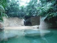 <img0*150:stuff/z/46887/Nehirwen%2520stock%2520-%2520Zoo%2520Animals/Berlin%20093.jpg>