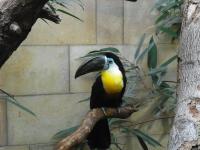 <img0*150:stuff/z/46887/Nehirwen%2520stock%2520-%2520Zoo%2520Animals/Berlin%20139.jpg>