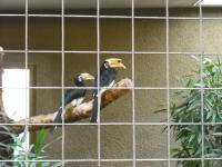 <img0*150:stuff/z/46887/Nehirwen%2520stock%2520-%2520Zoo%2520Animals/Berlin%20152.jpg>