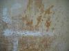 <img100*0:stuff/z/46887/Nehirwen%2520stock%2520-%2520bare%2520wall%2520textures/April%20037.jpg>