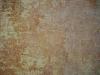 <img100*0:stuff/z/46887/Nehirwen%2520stock%2520-%2520bare%2520wall%2520textures/April%20041.jpg>