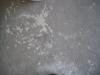 <img100*0:stuff/z/46887/Nehirwen%2520stock%2520-%2520bare%2520wall%2520textures/April%20067.jpg>