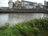 <img0*150:stuff/z/46887/Nehirwen%2520stock%2520-%2520half%2520destroyed%2520sugar%2520refinery/Post-Apocalyptic%20024.jpg>