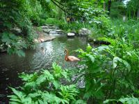 <img0*150:stuff/z/46887/Nehirwen%2520stock%2520-%2520nature/Zoo%20002.jpg>