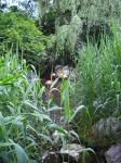 <img0*150:stuff/z/46887/Nehirwen%2520stock%2520-%2520nature/Zoo%20004.jpg>