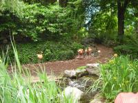 <img0*150:stuff/z/46887/Nehirwen%2520stock%2520-%2520nature/Zoo%20005.jpg>
