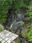 <img0*150:stuff/z/46887/Nehirwen%2520stock%2520-%2520nature/Zoo%20012.jpg>