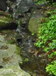 <img0*150:stuff/z/46887/Nehirwen%2520stock%2520-%2520nature/Zoo%20013.jpg>