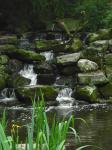<img0*150:stuff/z/46887/Nehirwen%2520stock%2520-%2520nature/Zoo%20015.jpg>