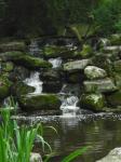 <img0*150:stuff/z/46887/Nehirwen%2520stock%2520-%2520nature/Zoo%20016.jpg>