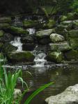 <img0*150:stuff/z/46887/Nehirwen%2520stock%2520-%2520nature/Zoo%20017.jpg>