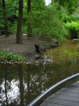 <img0*150:stuff/z/46887/Nehirwen%2520stock%2520-%2520nature/Zoo%20018.jpg>