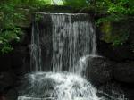 Nehirwen stock - nature