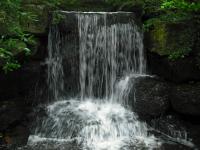 <img0*150:stuff/z/46887/Nehirwen%2520stock%2520-%2520nature/Zoo%20023.jpg>