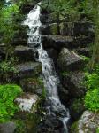 <img0*150:stuff/z/46887/Nehirwen%2520stock%2520-%2520nature/Zoo%20126.jpg>