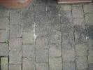 <img0*100:stuff/z/46887/Nehirwen%2520stock%2520-%2520stone%2520and%2520wooden%2520floors/%40parents%20052.jpg>