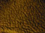 <img150*0:stuff/z/46887/Nehirwen%2520stock%2520-%2520textures/i1238582154_32.jpg>