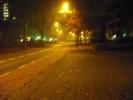 <img0*100:stuff/z/46887/Nehirwens%2520Night%2520Fog%2520Photo%2527s/i1226592974_3.jpg>