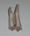 <img100*0:stuff/z/46887/Nehirwens%2520Uploading/i1247219777_6.jpg>