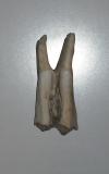 <img100*0:stuff/z/46887/Nehirwens%2520Uploading/i1247219777_7.jpg>