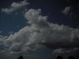 <img0*200:stuff/z/46887/nehirwen%2520stock%2520-%2520sky/vacation%20278.jpg>