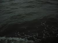 <img0*150:stuff/z/46887/nehirwen%2520stock%2520-%2520water/vacation%20037.jpg>