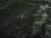 <img0*150:stuff/z/46887/nehirwen%2520stock%2520-%2520water/vacation%20043.jpg>