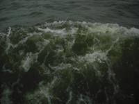 <img0*150:stuff/z/46887/nehirwen%2520stock%2520-%2520water/vacation%20047.jpg>