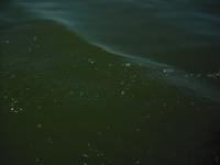 <img0*150:stuff/z/46887/nehirwen%2520stock%2520-%2520water/vacation%20172.jpg>