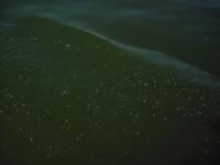 <img0*150:stuff/z/46887/nehirwen%2520stock%2520-%2520water/vacation%20173.jpg>