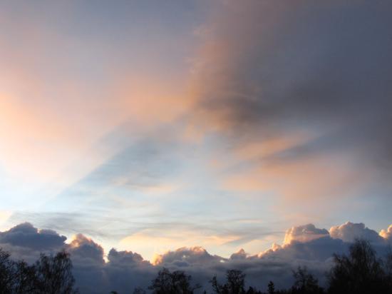 A January Morning