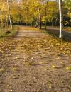 <img100*130:stuff/z/4731/OctoberDay/OctoberDay12.jpg>