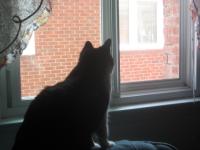 <img200*0:stuff/z/48069/kittygirl1017%2520photo%2520gallery2/IMG_0661.jpg>