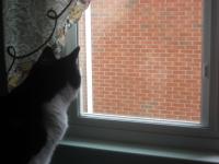 <img200*0:stuff/z/48069/kittygirl1017%2520photo%2520gallery2/IMG_0663.jpg>