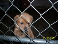 <img200*0:stuff/z/51447/Andres/i1171527492_1.jpg>