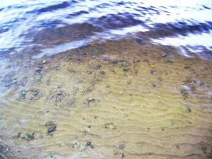 <img300*0:stuff/z/5319/Save%2520my%2520Soul%2520Photography/DSC00396.JPG>