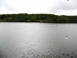 <img300*0:stuff/z/5319/Save%2520my%2520Soul%2520Photography/DSC00398.JPG>
