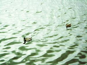 <img300*0:stuff/z/5319/Save%2520my%2520Soul%2520Photography/DSC00400.JPG>