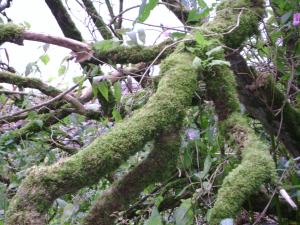 <img300*0:stuff/z/5319/Save%2520my%2520Soul%2520Photography/DSC00404.JPG>