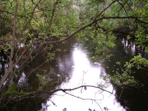 <img300*0:stuff/z/5319/Save%2520my%2520Soul%2520Photography/DSC00406.JPG>