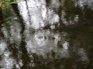 <img300*0:stuff/z/5319/Save%2520my%2520Soul%2520Photography/DSC00407.JPG>