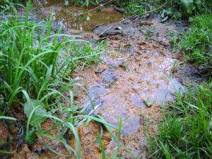 <img300*0:stuff/z/5319/Save%2520my%2520Soul%2520Photography/DSC00425.JPG>