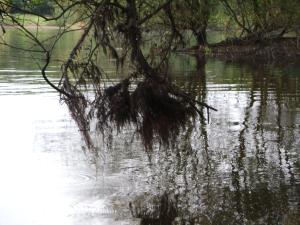 <img300*0:stuff/z/5319/Save%2520my%2520Soul%2520Photography/DSC00431.JPG>