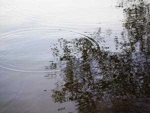 <img300*0:stuff/z/5319/Save%2520my%2520Soul%2520Photography/DSC00432.JPG>