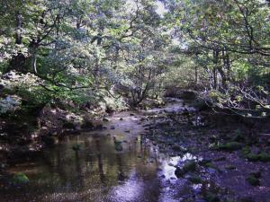 <img300*0:stuff/z/5319/Save%2520my%2520Soul%2520Photography/DSC00446.JPG>