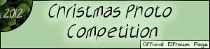 <img:stuff/z/5555/Official%2520banners%25202011/Christmas_Photography_Competition_2012.jpg>
