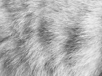 <img0*150:stuff/z/5555/SF%2520-%2520Textures/i1301860674_16.jpg>